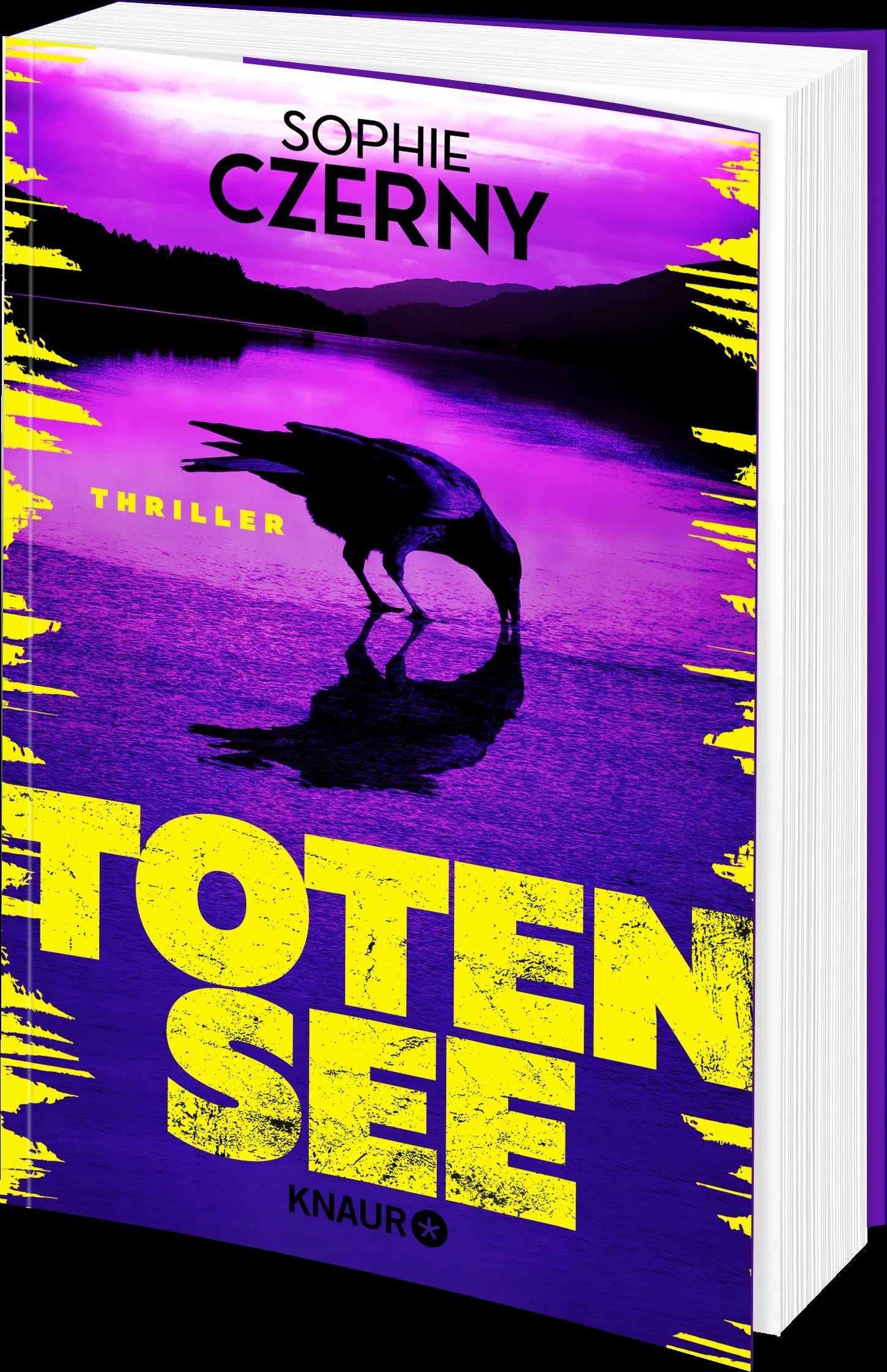 Detailansicht: Totensee (Paperback)