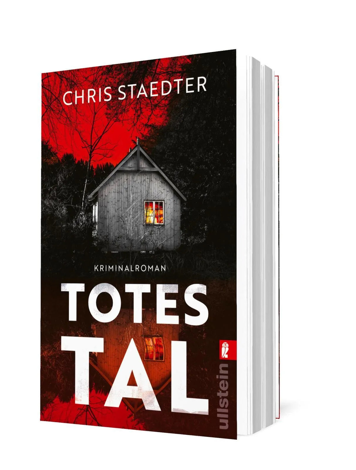 Detailansicht: Totes Tal (Taschenbuch)