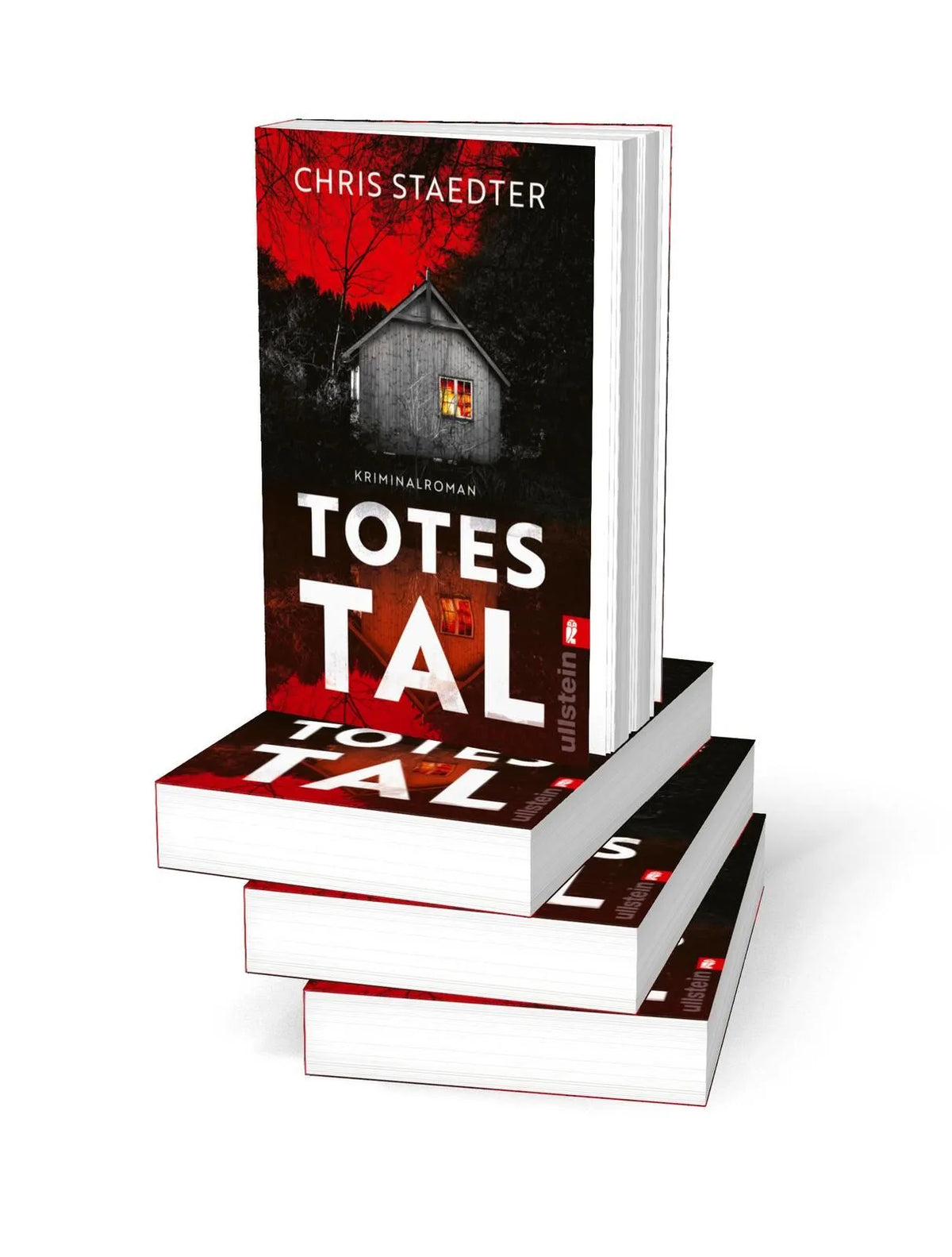 Detailansicht: Totes Tal (Taschenbuch)