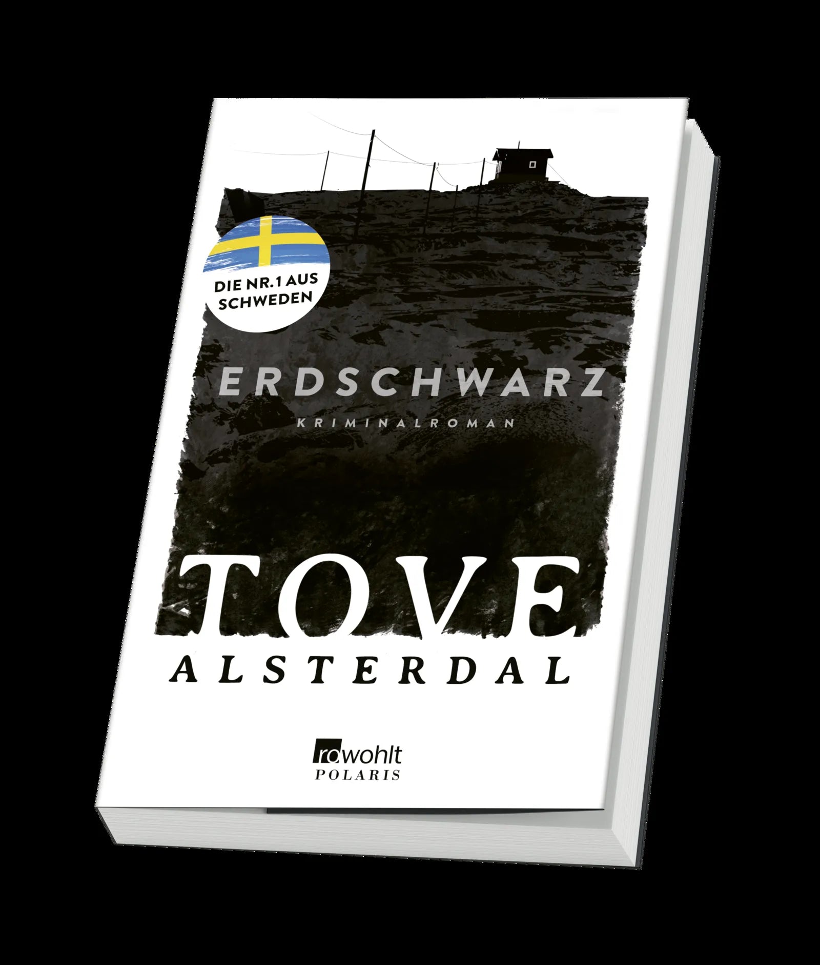 Produktansicht: Erdschwarz (Paperback)