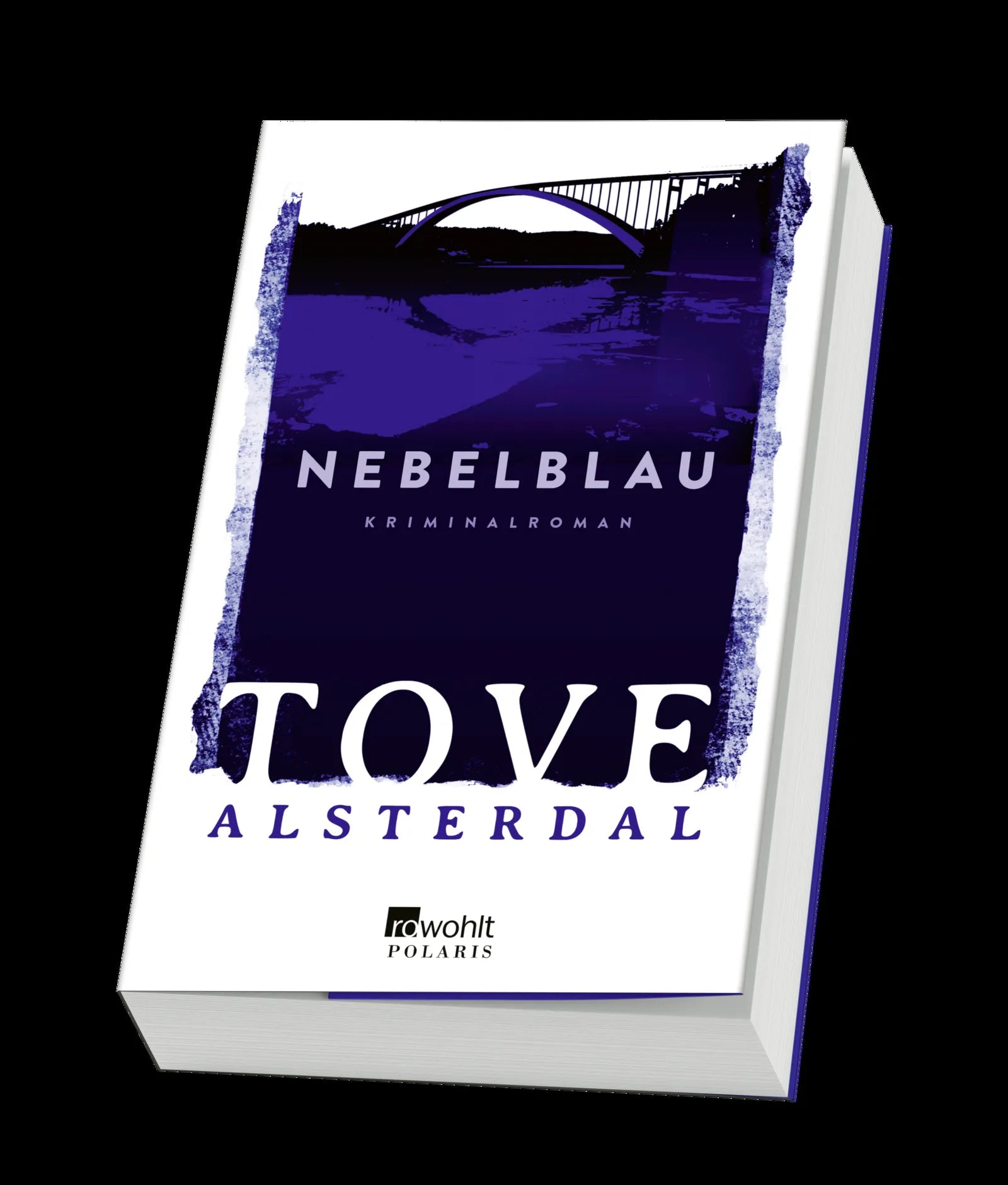 Produktansicht: Nebelblau (Paperback)