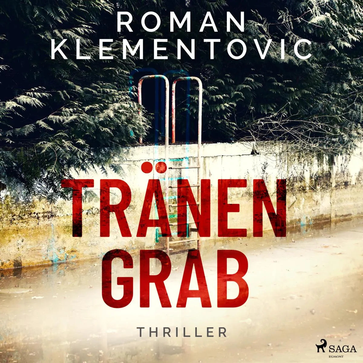 Cover: Tränengrab (Hörbuch Download) von Roman Klementovic