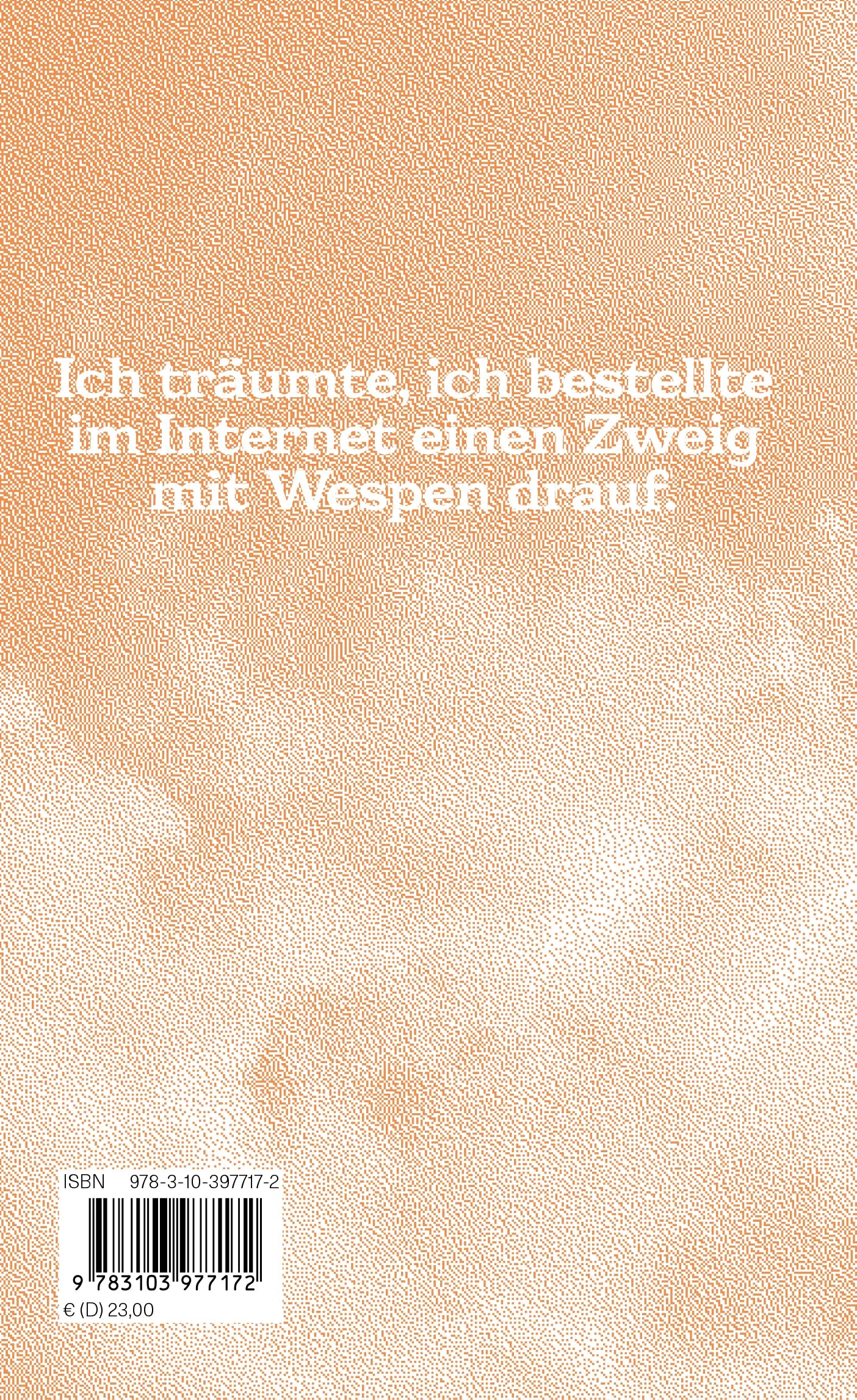 Buchrückseite von 'Träume in Europa' mit Klappentext - Gebundene Ausgabe