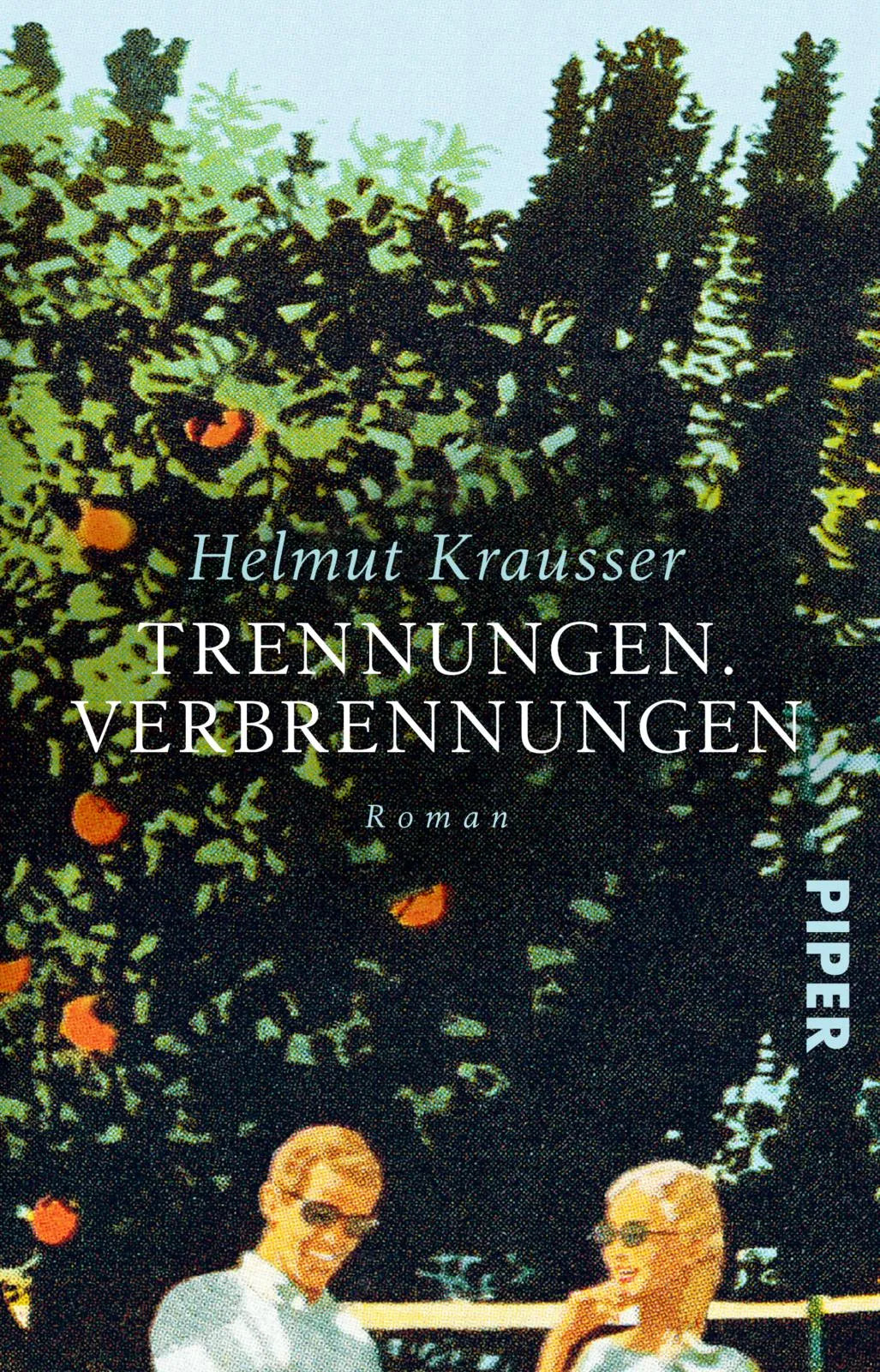 Buchcover von 'Trennungen. Verbrennungen' - Taschenbuch von Helmut Krausser