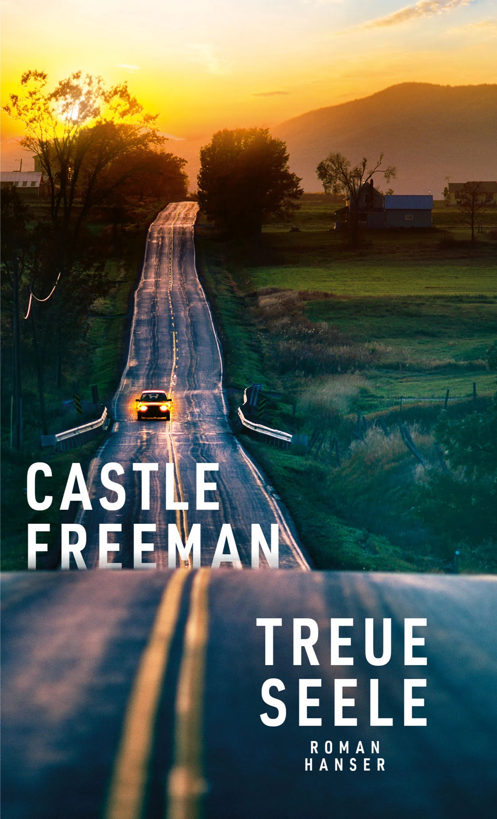 Cover: Treue Seele (E-Book) von Castle Freeman