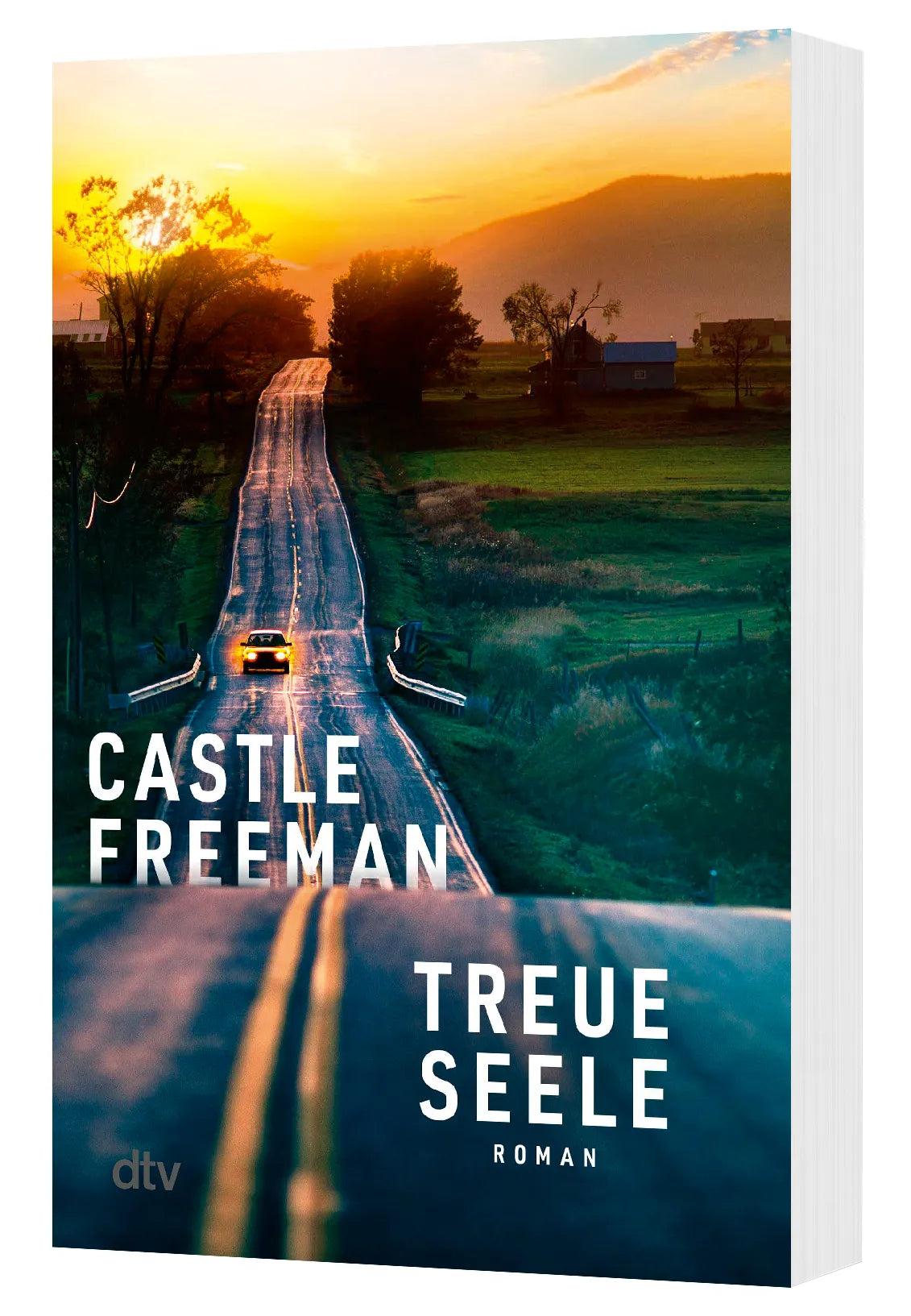Detailansicht: Treue Seele (Taschenbuch)