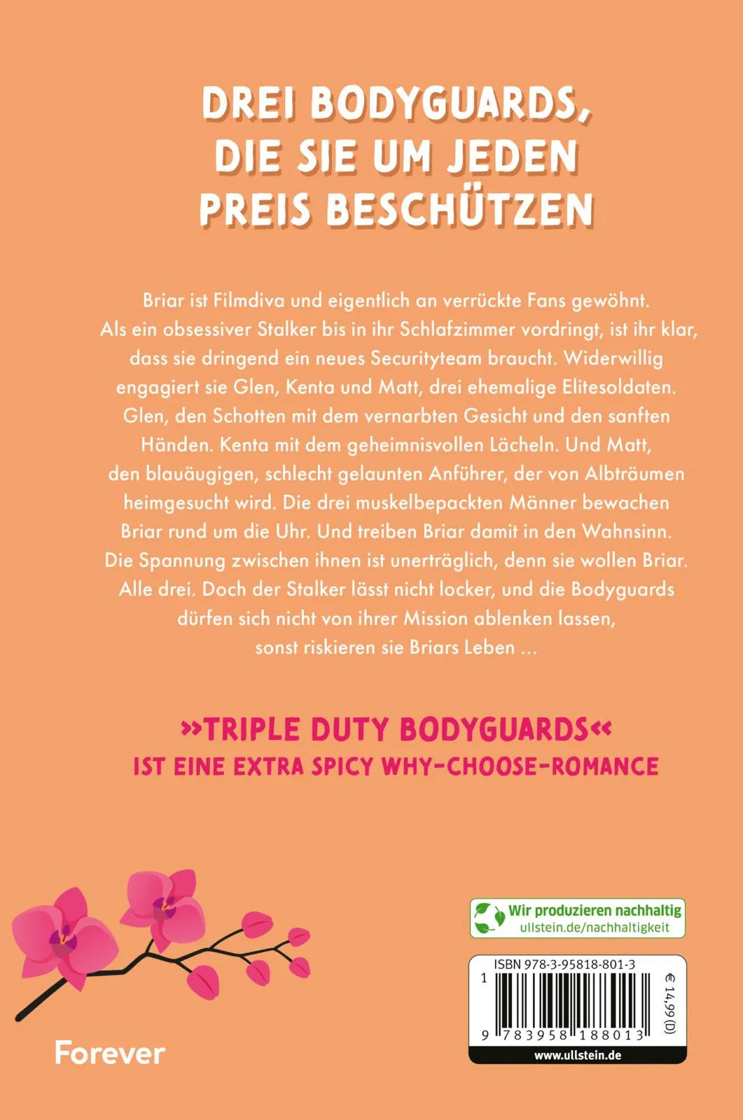 Buchrückseite von 'Triple Duty Bodyguards' mit Klappentext - Paperback