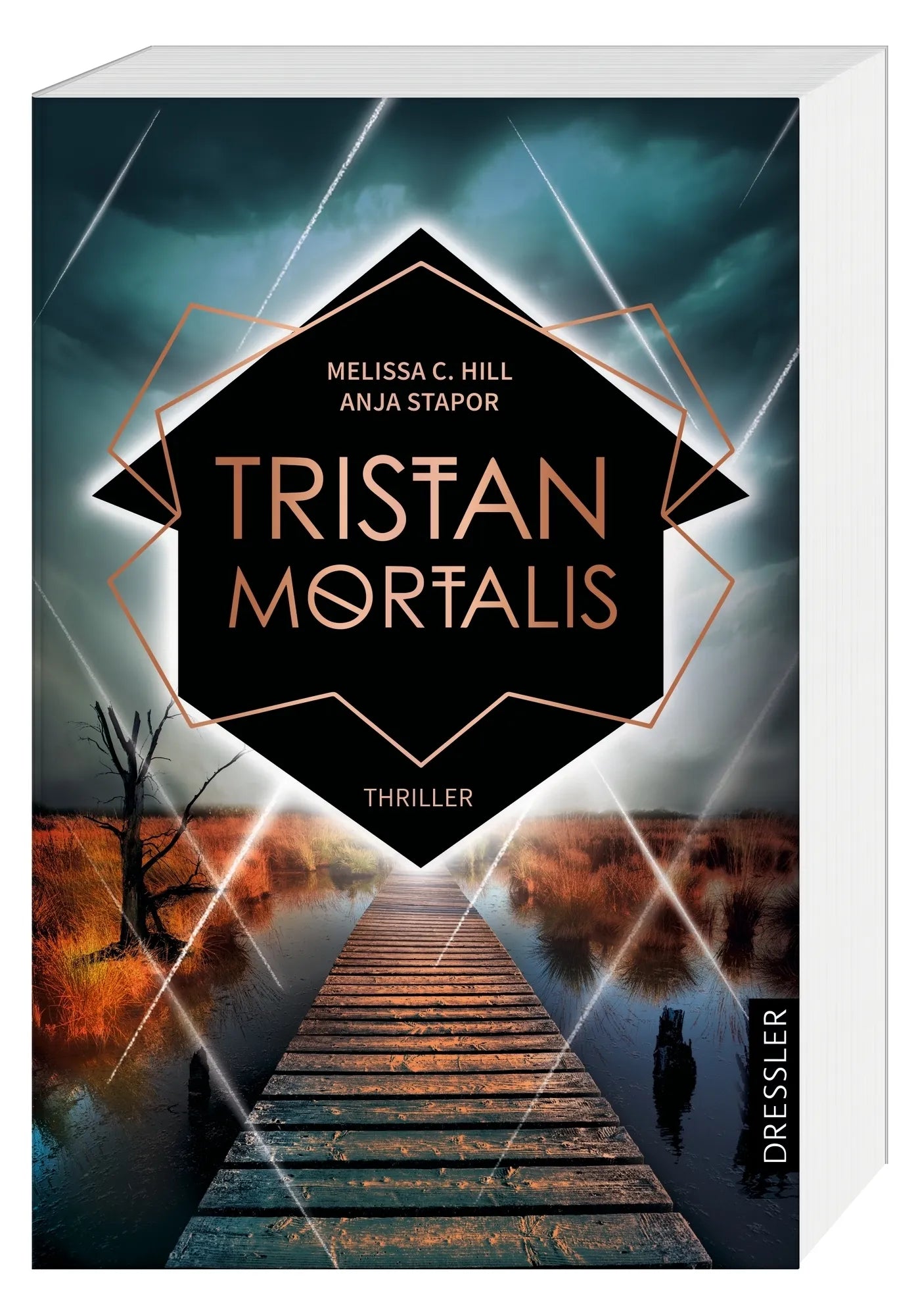 Detailansicht: Tristan Mortalis (Taschenbuch)