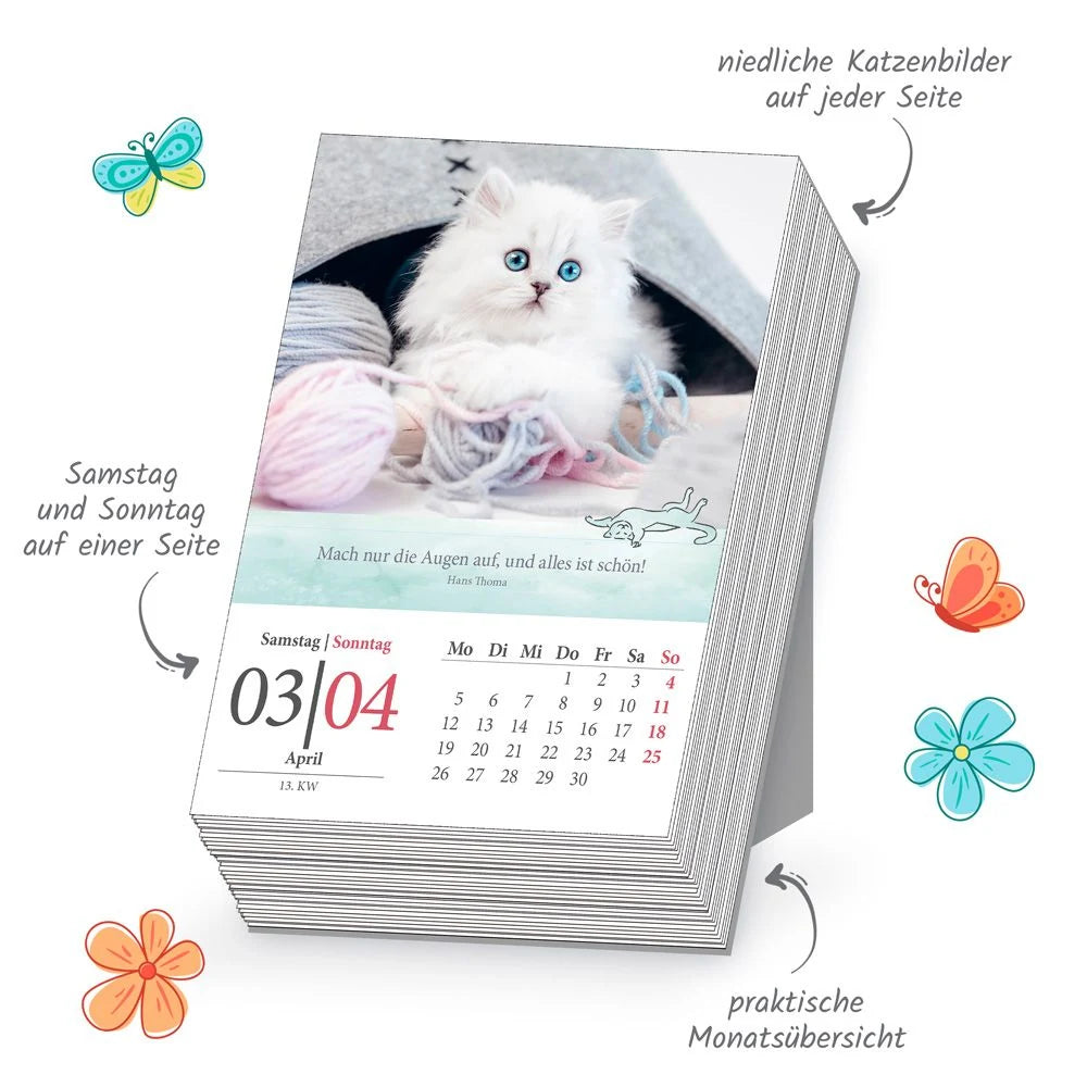 TRÖTSCH - Abreißkalender Katzen 2027 – Ansicht