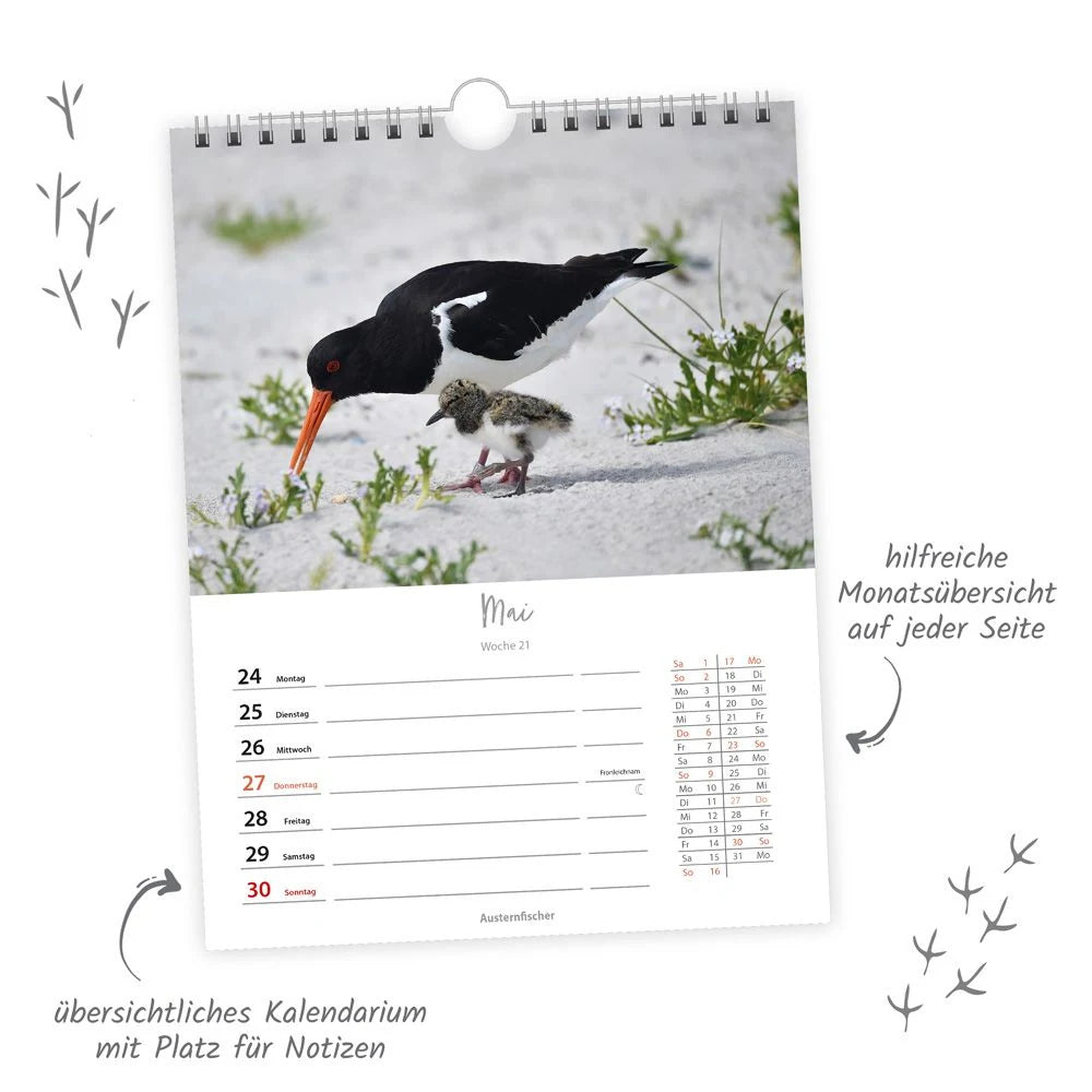 TRÖTSCH - Wochenkalender zum Hängen Heimische Vögel 2027 – Ansicht