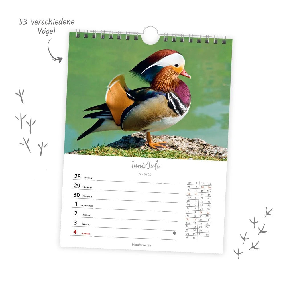 TRÖTSCH - Wochenkalender zum Hängen Heimische Vögel 2027 – Ansicht