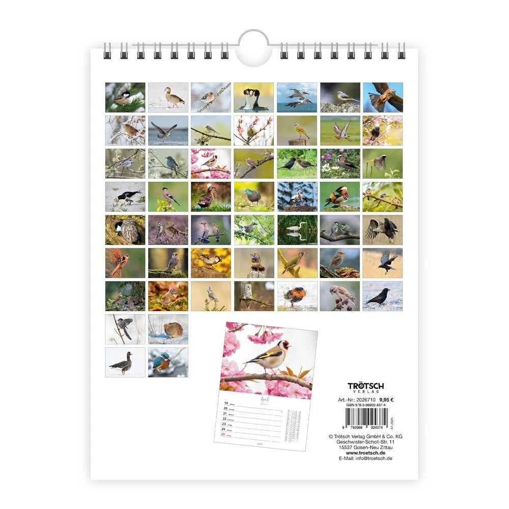 TRÖTSCH - Wochenkalender zum Hängen Heimische Vögel 2027 – Ansicht