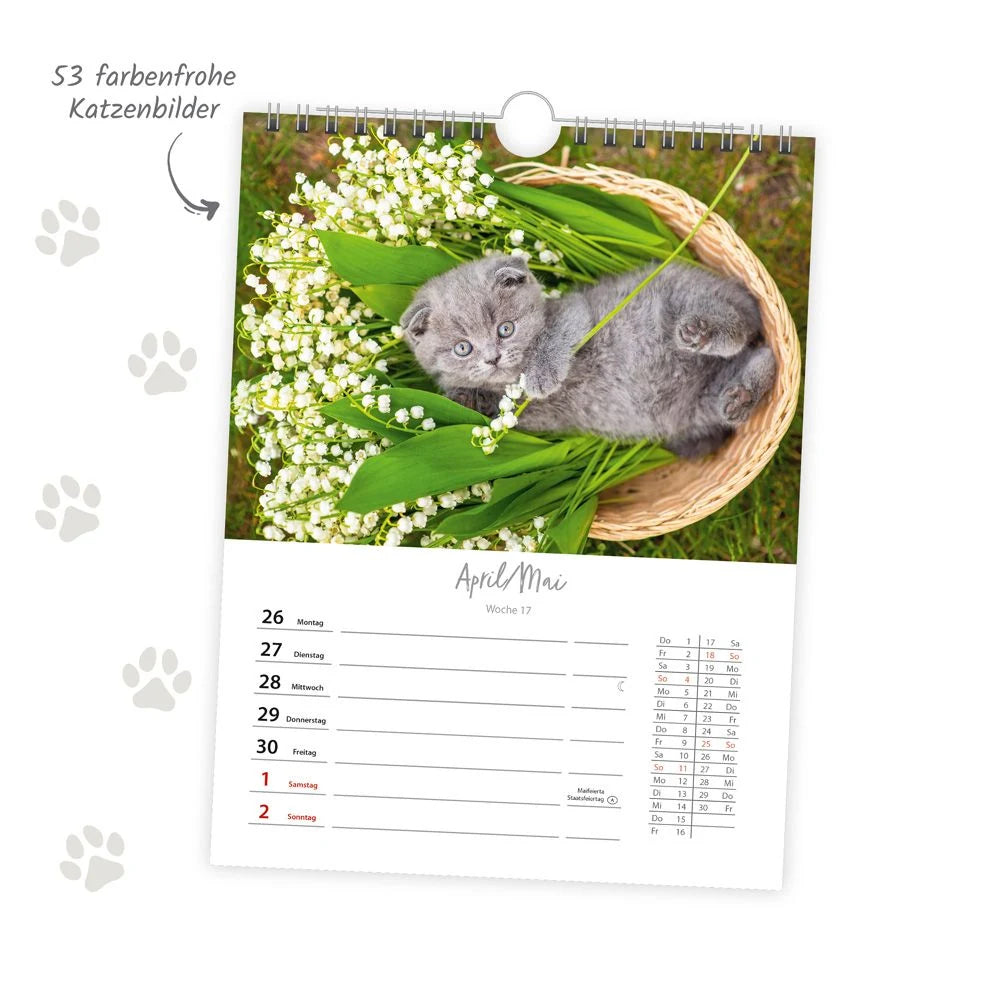 TRÖTSCH - Wochenkalender zum Hängen Katzen 2027 – Ansicht