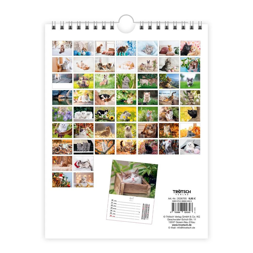 TRÖTSCH - Wochenkalender zum Hängen Katzen 2027 – Ansicht