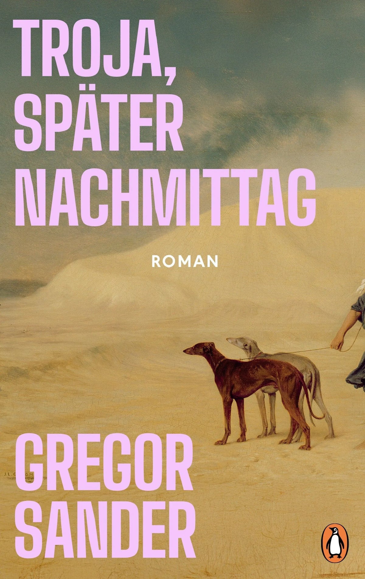 Cover: Troja, später Nachmittag (Hardcover) von Gregor Sander