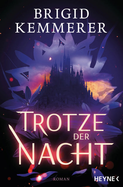 Cover: Trotze der Nacht (E-Book) von Brigid Kemmerer