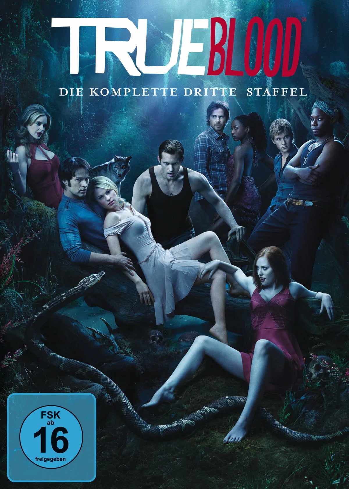 True Blood - Staffel 3  [5 DVDs] - DVD