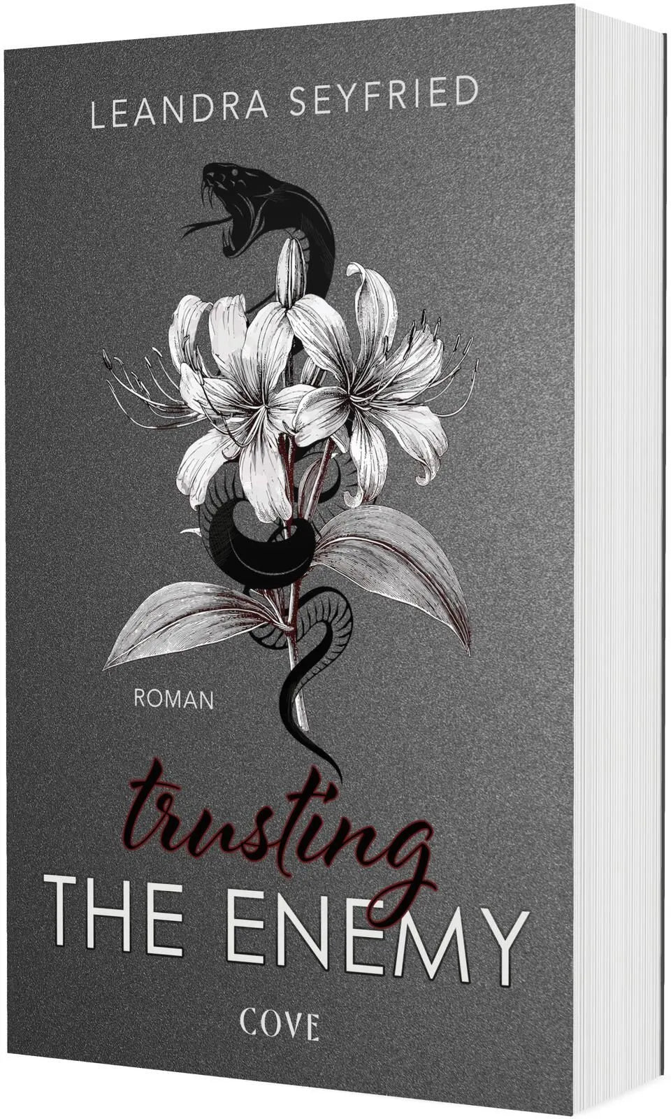 Cover: Trusting The Enemy (Paperback) von Leandra Seyfried