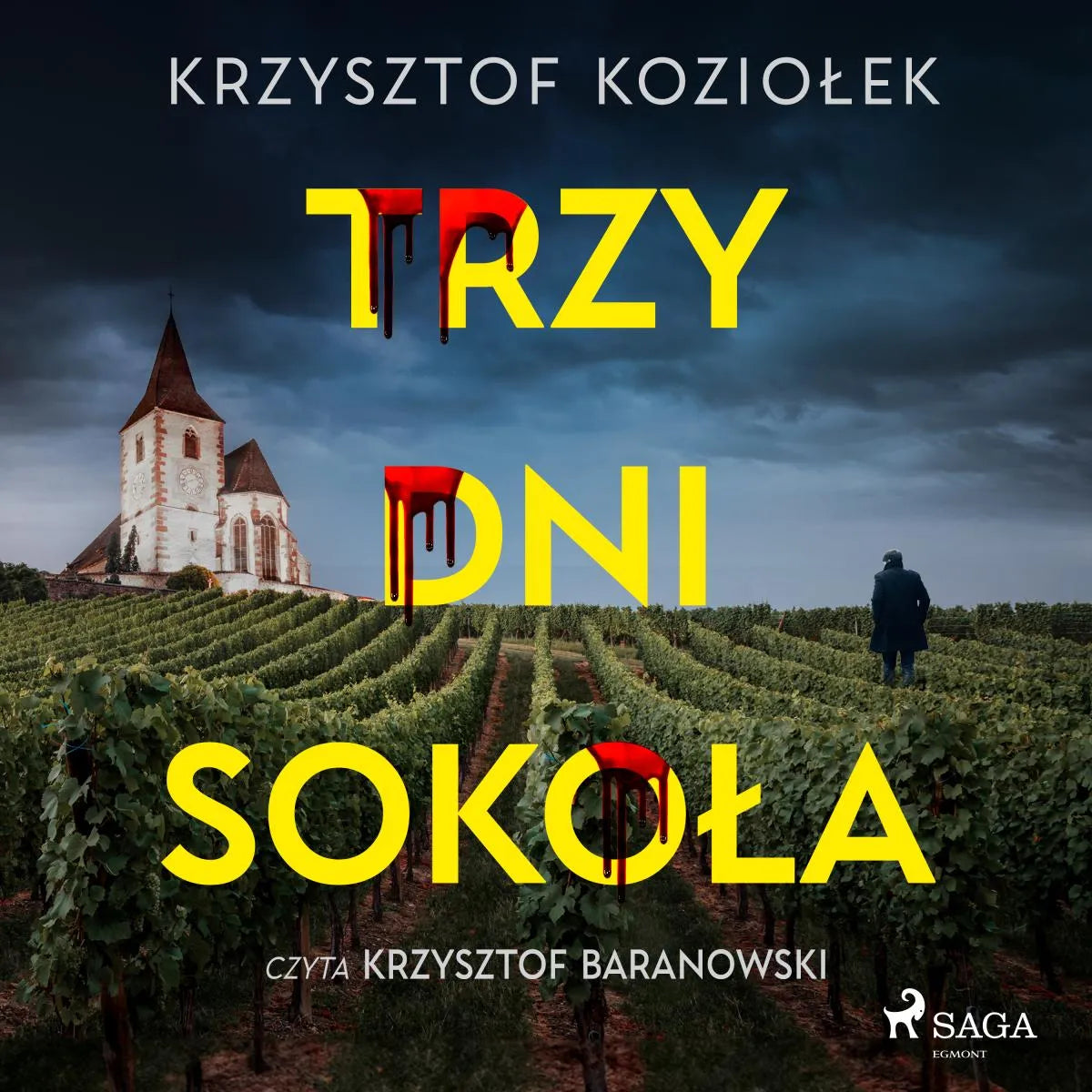 Cover: Trzy dni Sokoła (Hörbuch Download) von Krzysztof Koziolek