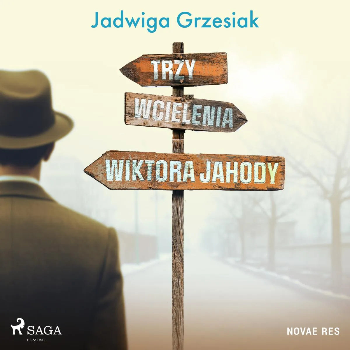 Cover: Trzy wcielenia Wiktora Jahody (Hörbuch Download) von Jadwiga Grzesiak