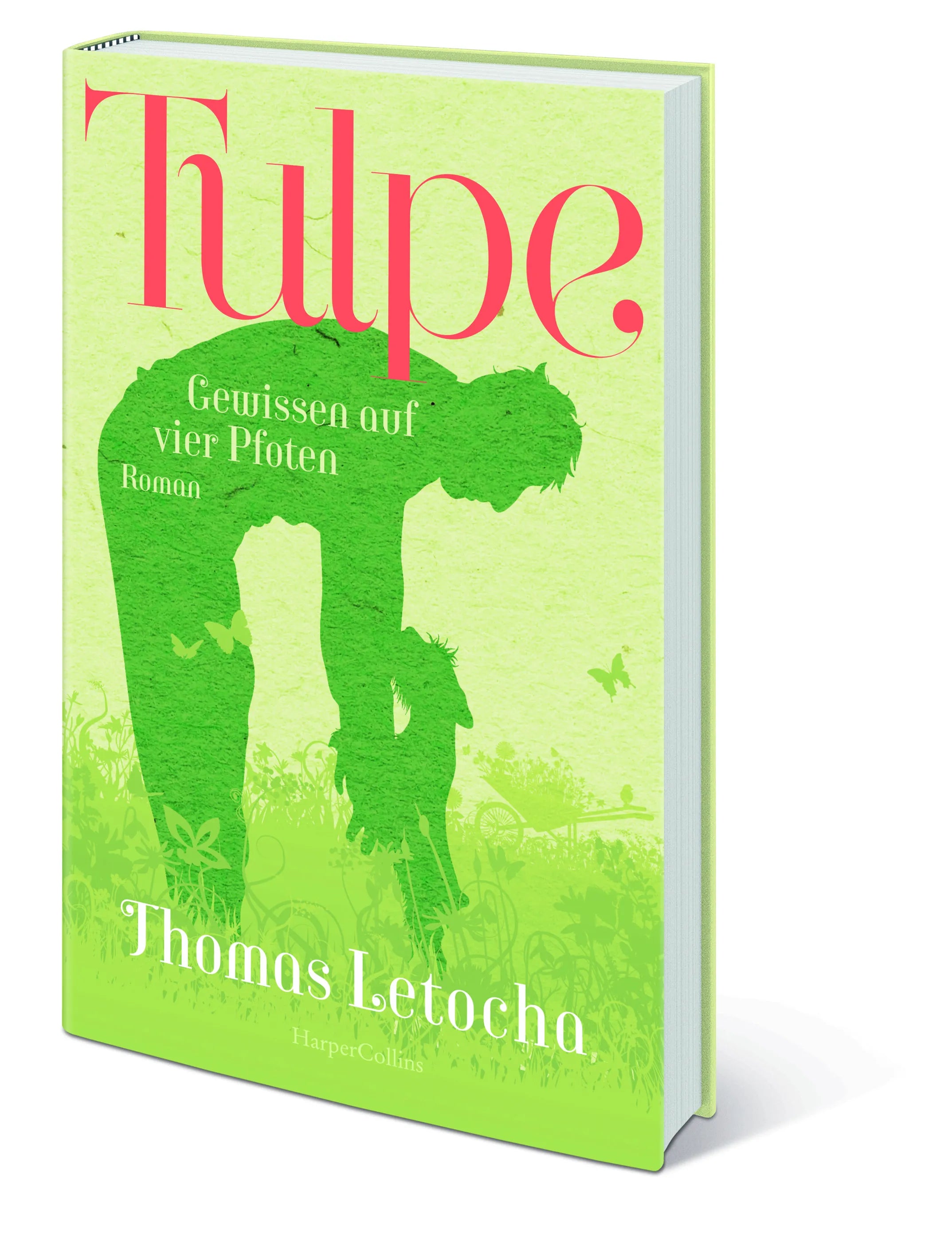 Thomas Letocha - Tulpe