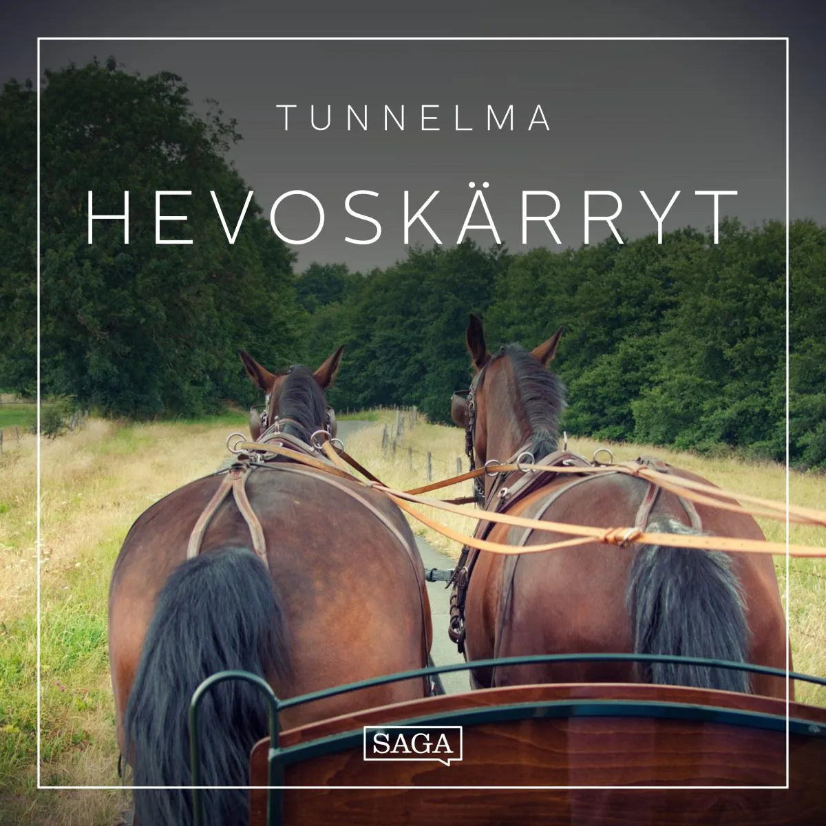 Cover: Tunnelma - Hevoskärryt (Hörbuch Download) von Rasmus Broe