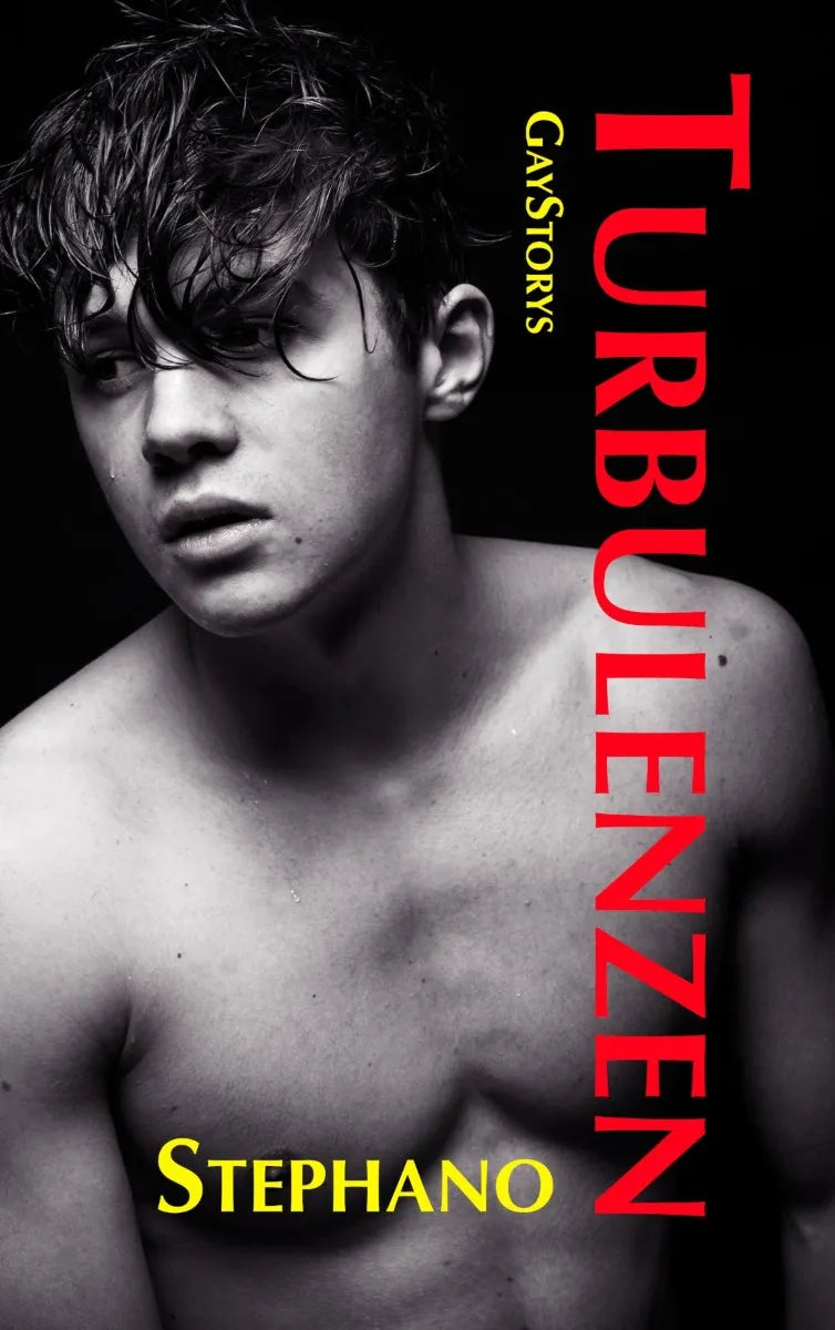 Cover: Turbulenzen (E-Book) von Stephano