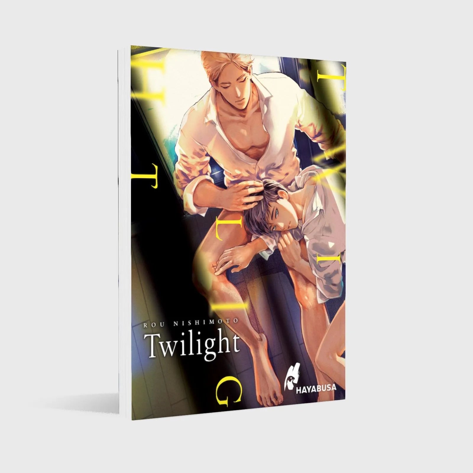 Produktansicht: Twilight (Paperback)