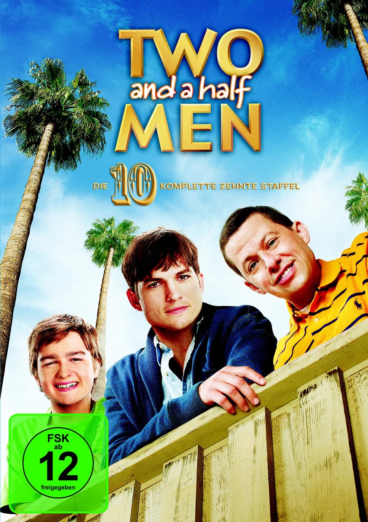 Two and a Half Men - Staffel 10  [3 DVDs] - DVD