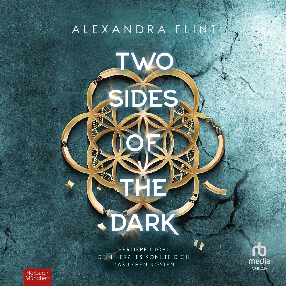 Cover: Two Sides of the Dark (Hörbuch Download) von Alexandra Flint