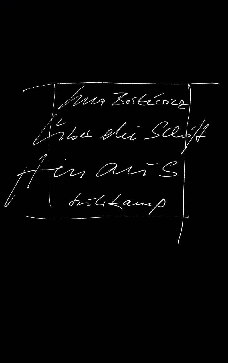 Buchcover von 'Über die Schrift hinaus' - Paperback von Ulla Berkéwicz