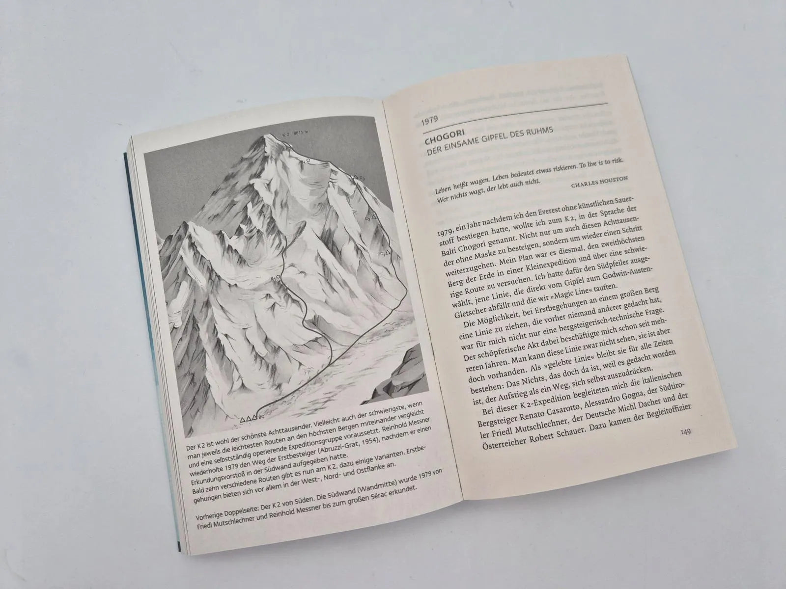 Detailansicht: Überlebt (Taschenbuch)