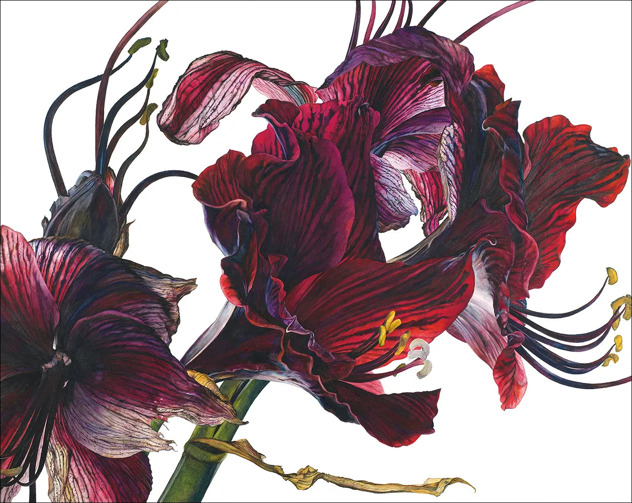 Rosie Sanders - Überwältigende Blüten