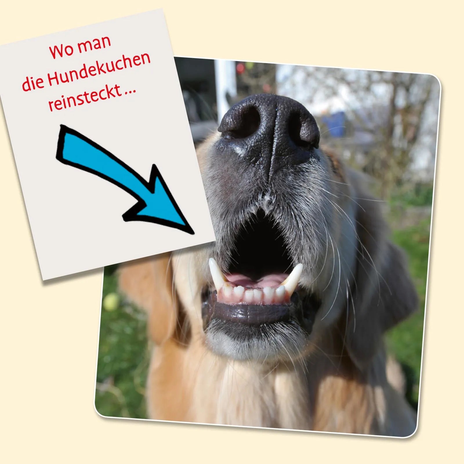 Detailansicht: Uli Stein für Tierfreunde: Viel Spaß mit Hunden (Hardcover)