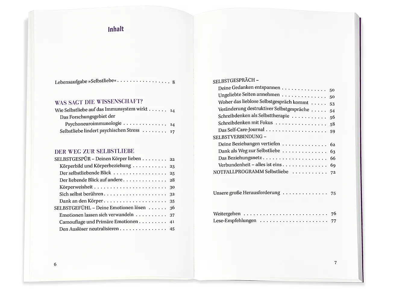 Produktansicht: Immunbooster Selbstliebe (Taschenbuch)