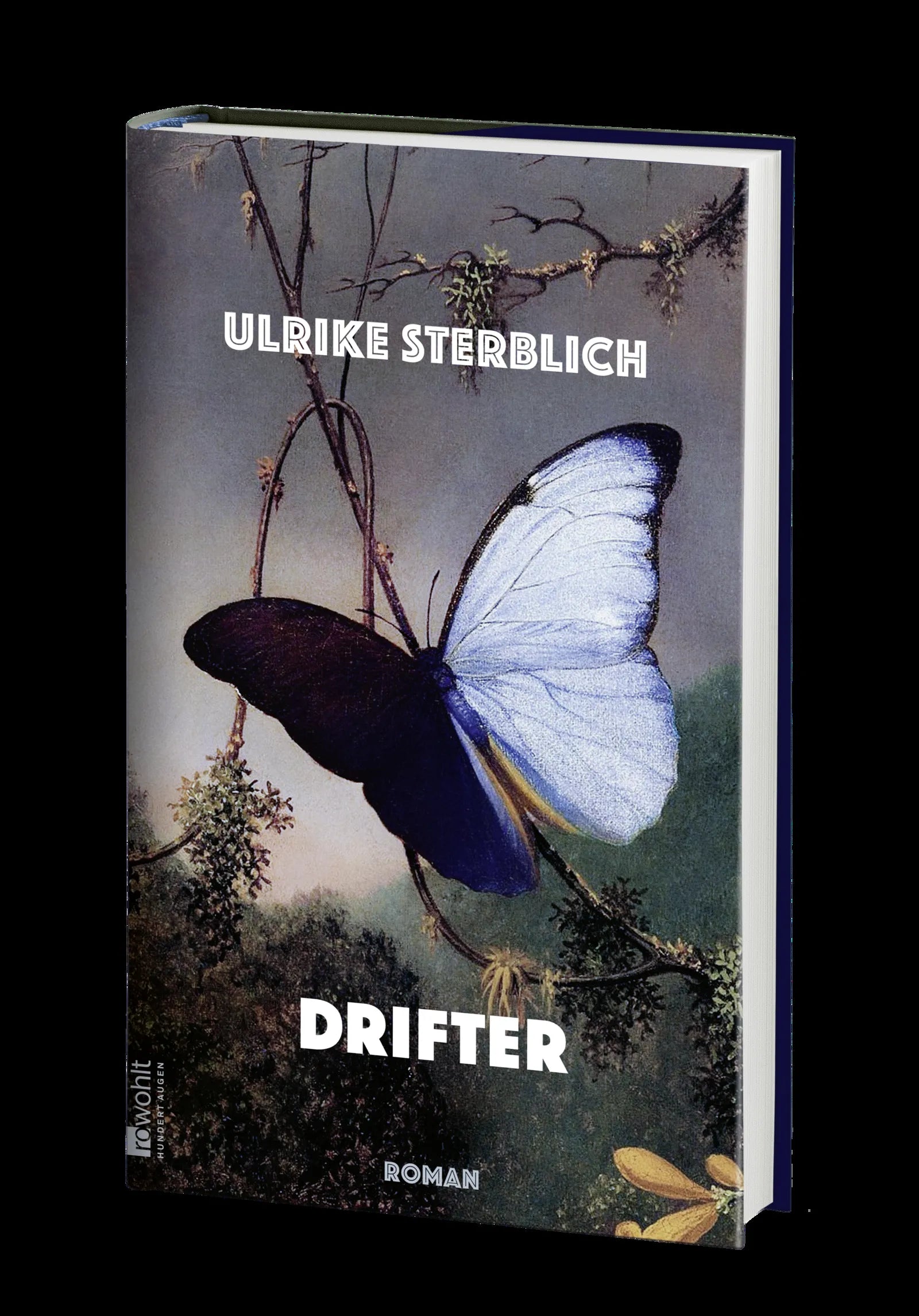 Produktansicht: Drifter (Gebundene Ausgabe)