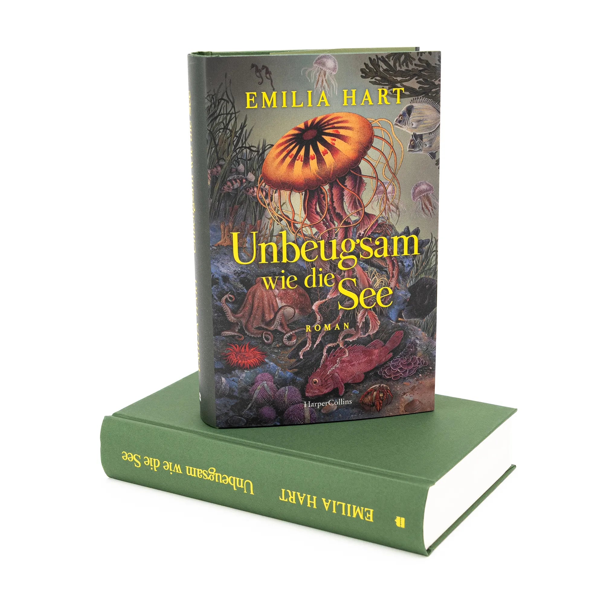 Detailansicht: Unbeugsam wie die See (Hardcover)