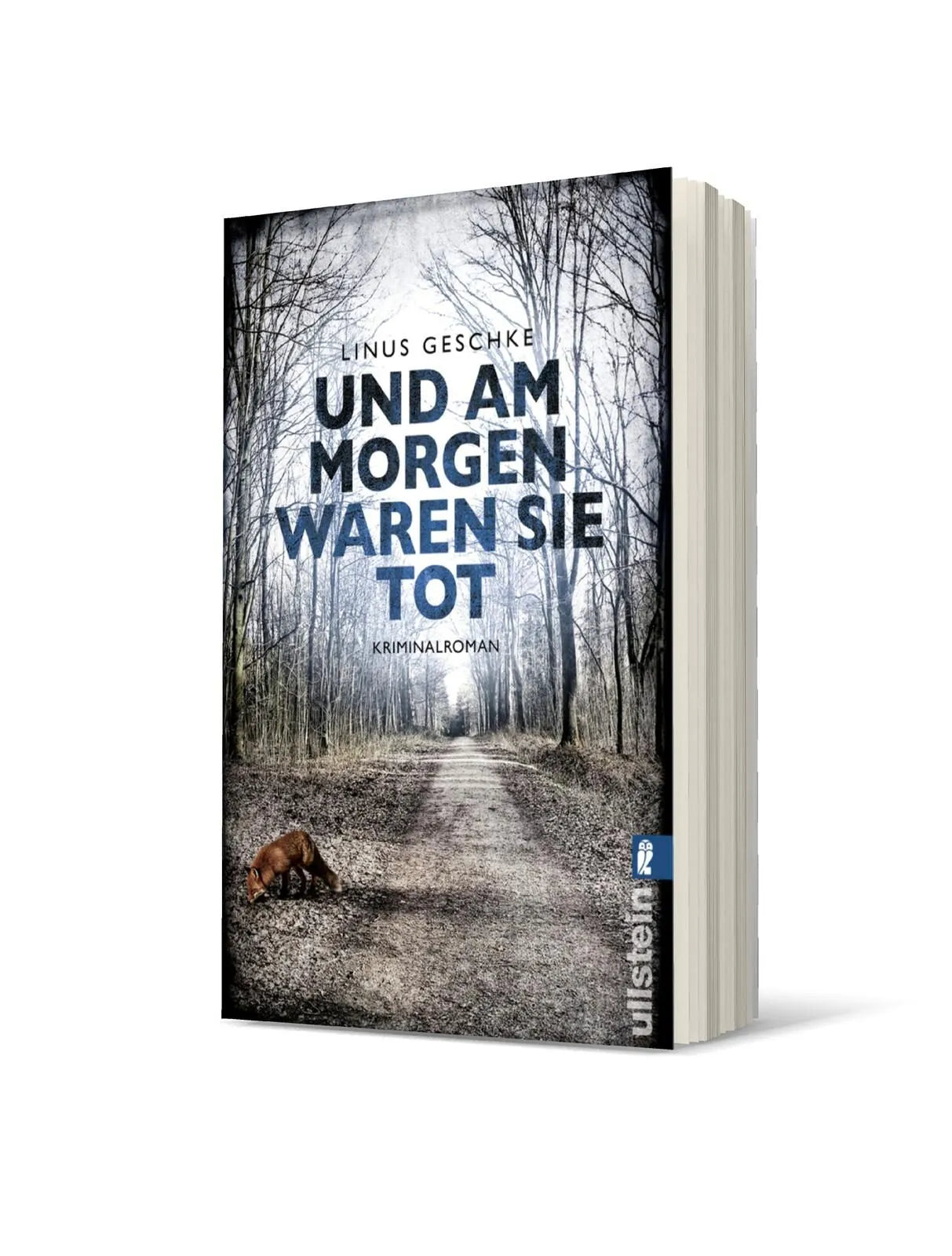 Detailansicht: Und am Morgen waren sie tot (Taschenbuch)