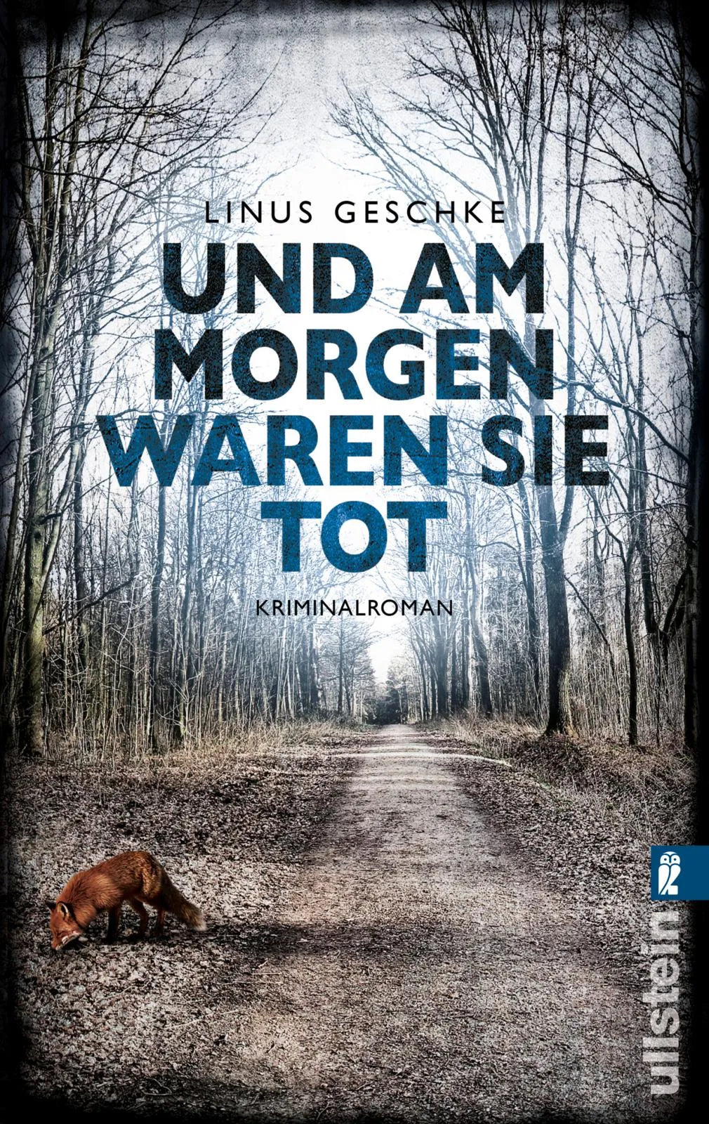 Buchcover von 'Und am Morgen waren sie tot' - Taschenbuch von Linus Geschke