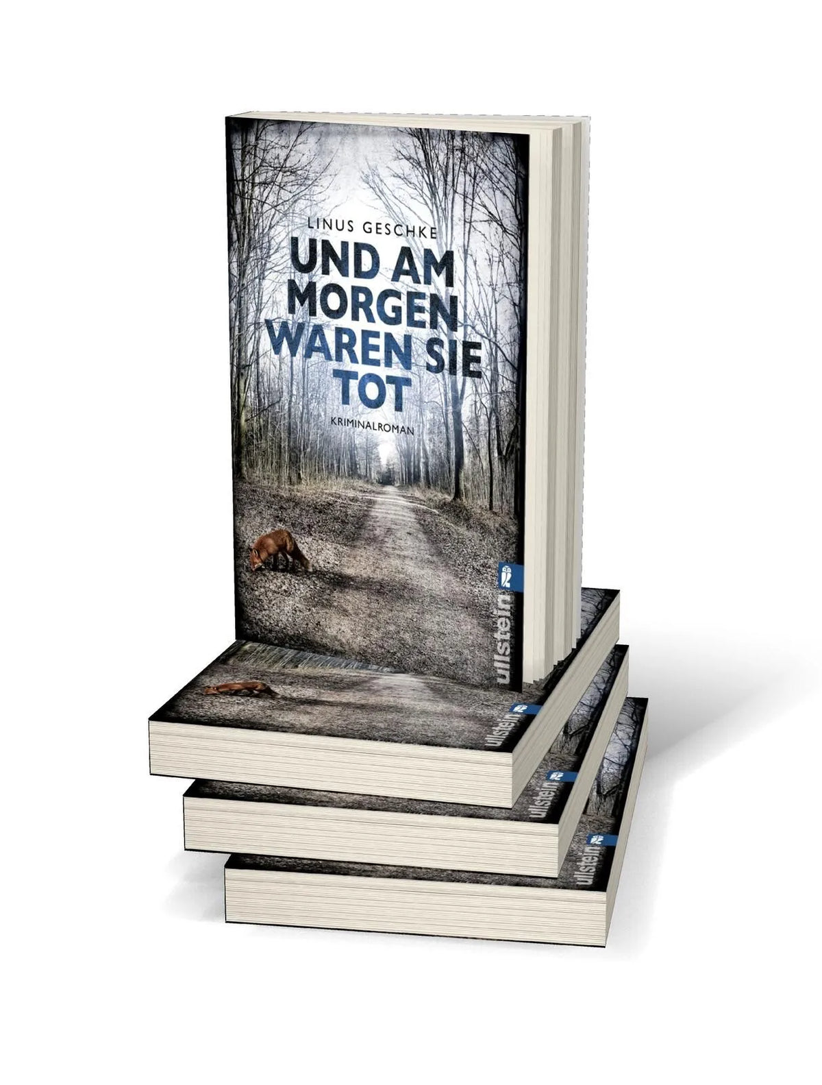 Detailansicht: Und am Morgen waren sie tot (Taschenbuch)