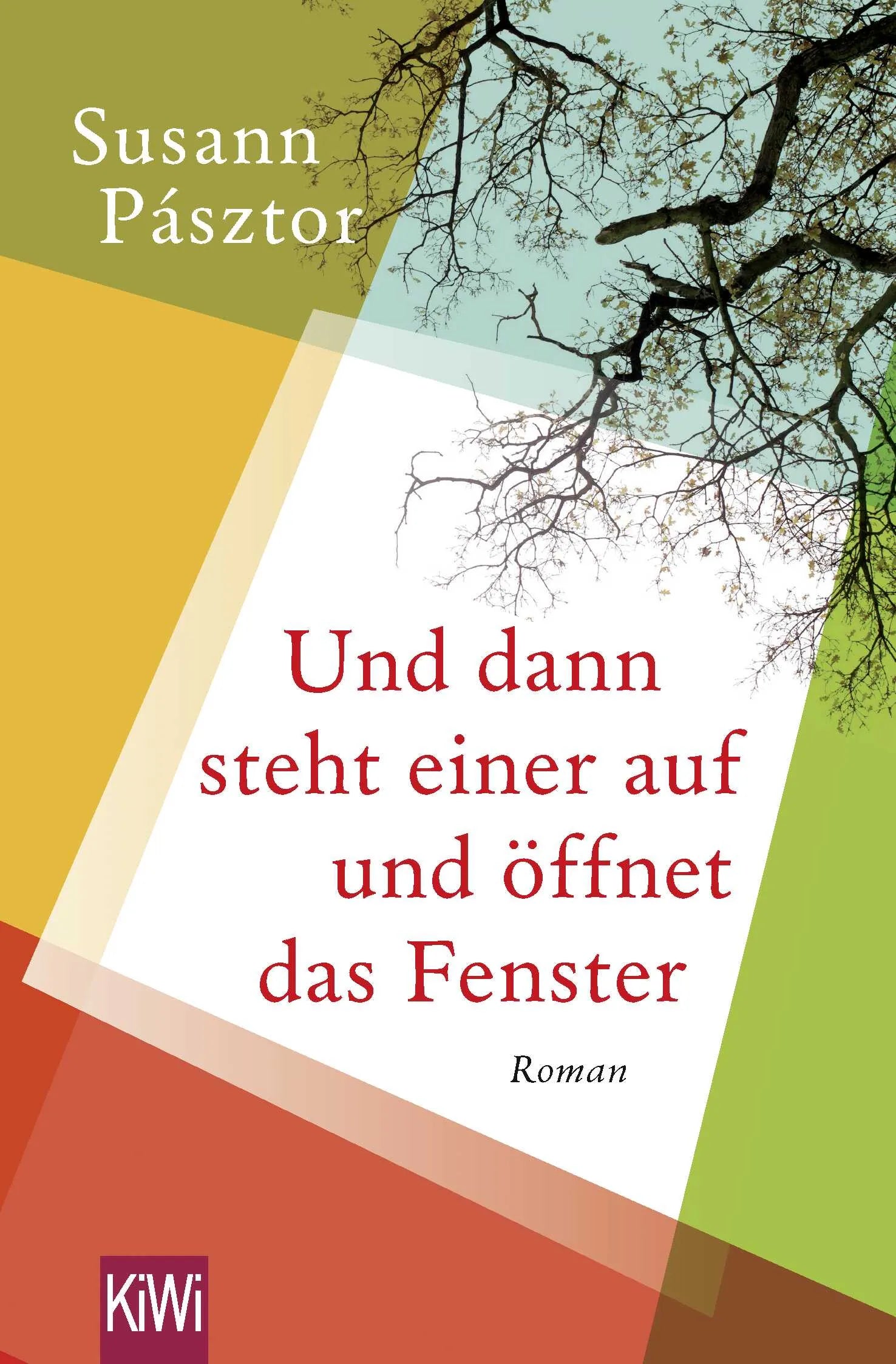 Buchcover von 'Und dann steht einer auf und öffnet das Fenster' - Taschenbuch von Susann Pásztor