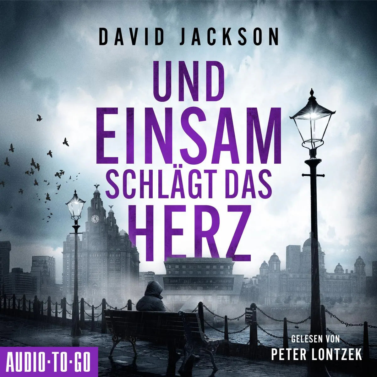 Cover: Und einsam schlägt das Herz (Hörbuch Download) von David Jackson