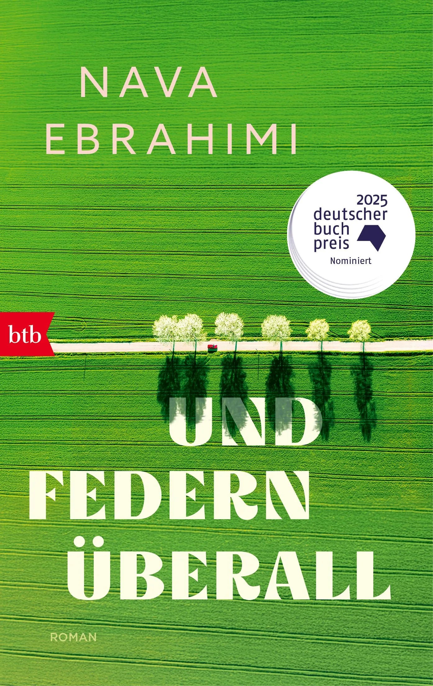 Cover: Und Federn überall (Taschenbuch) von Nava Ebrahimi