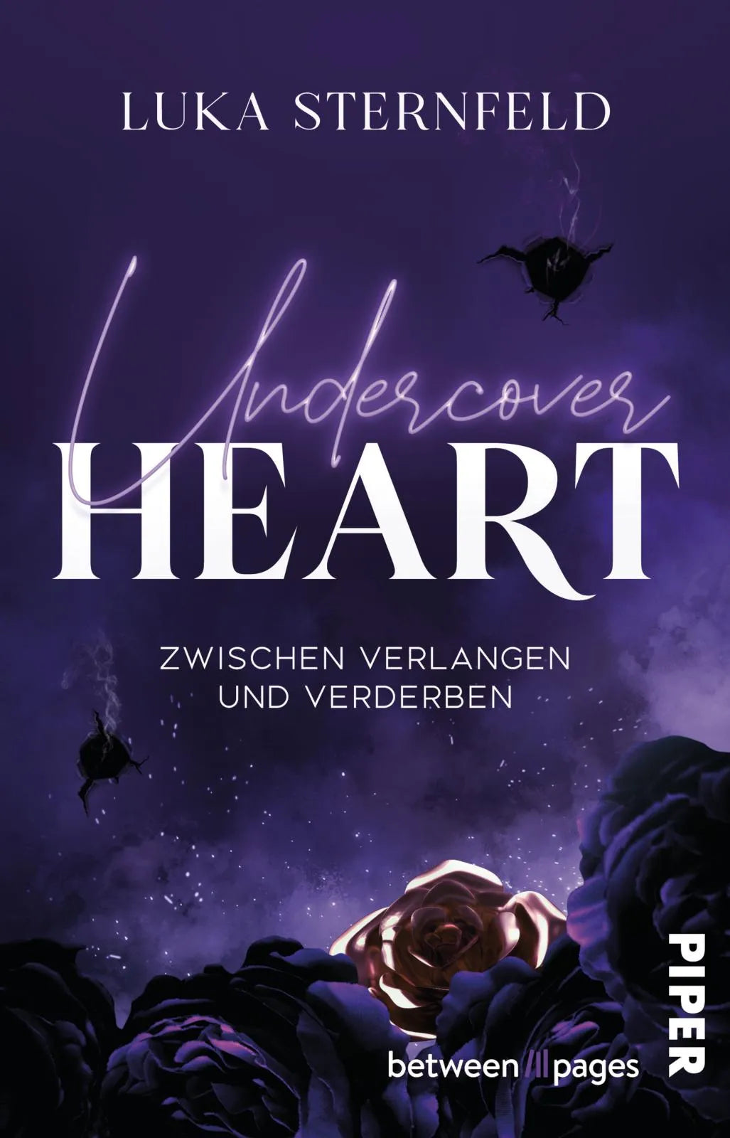 Buchcover von 'Undercover Heart' - Taschenbuch von Luka Sternfeld