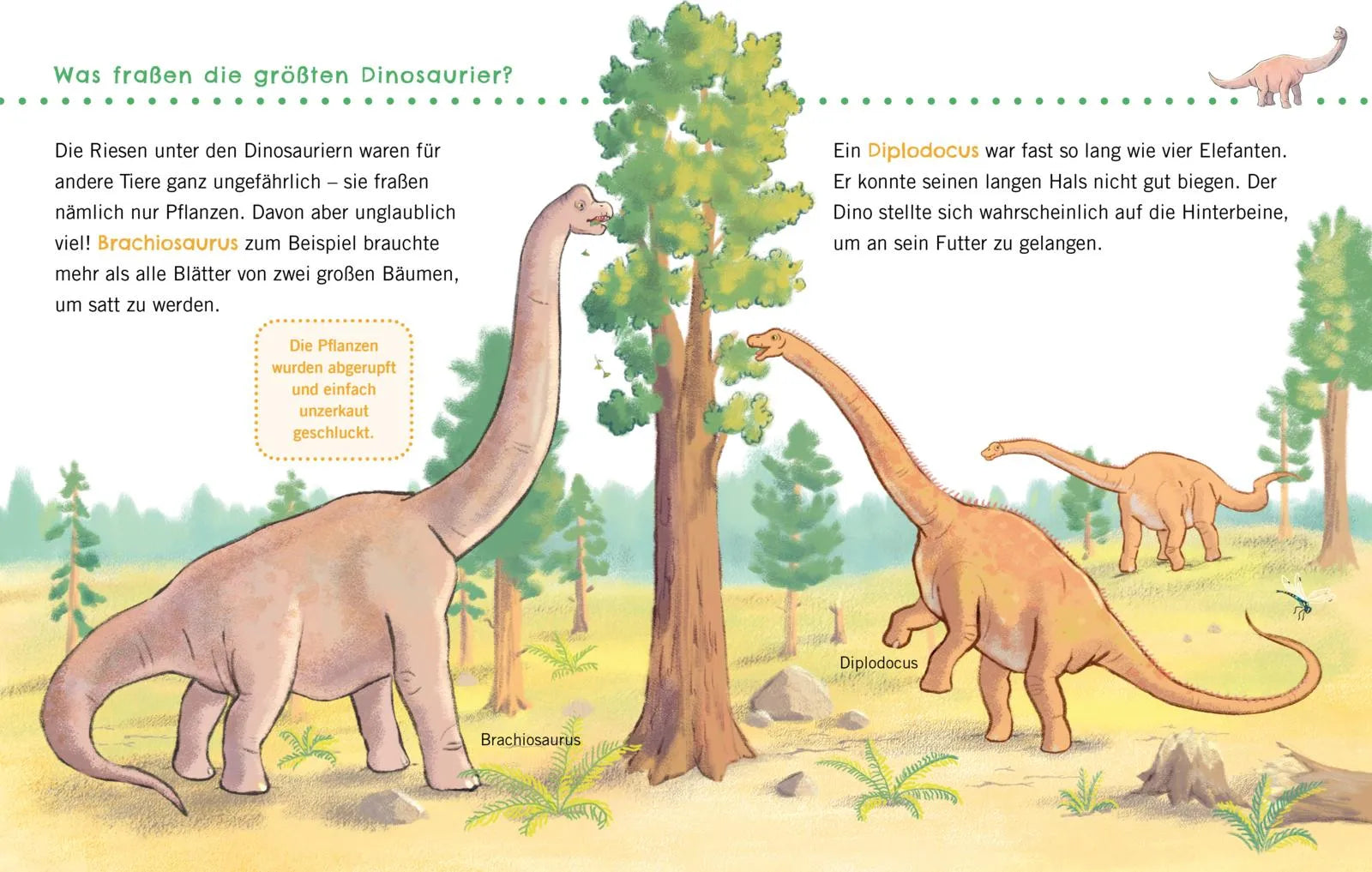 Abbildung von 'Unkaputtbar: Erstes Wissen: Dinosaurier'