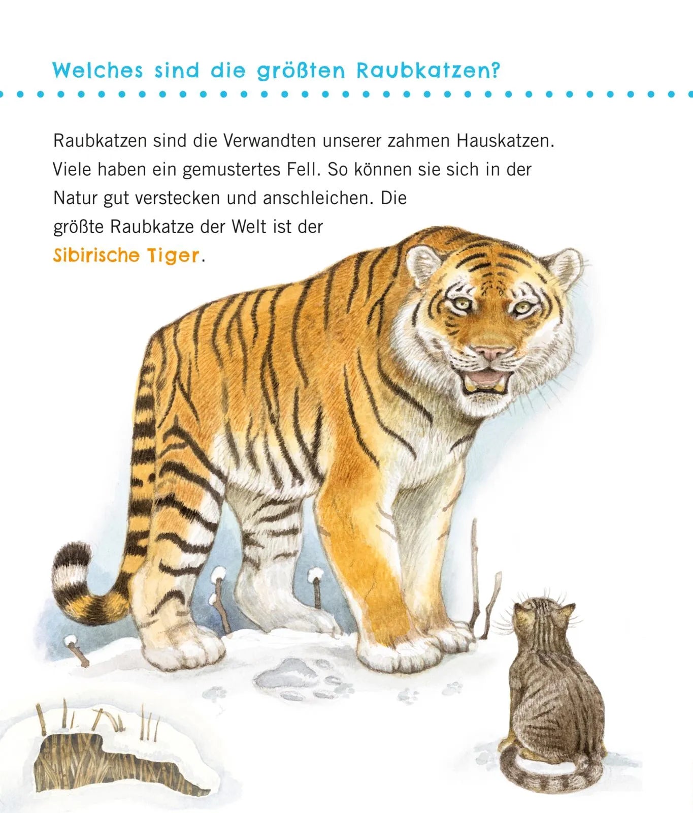 Petra Klose - Unkaputtbar: Erstes Wissen: Große Tiere