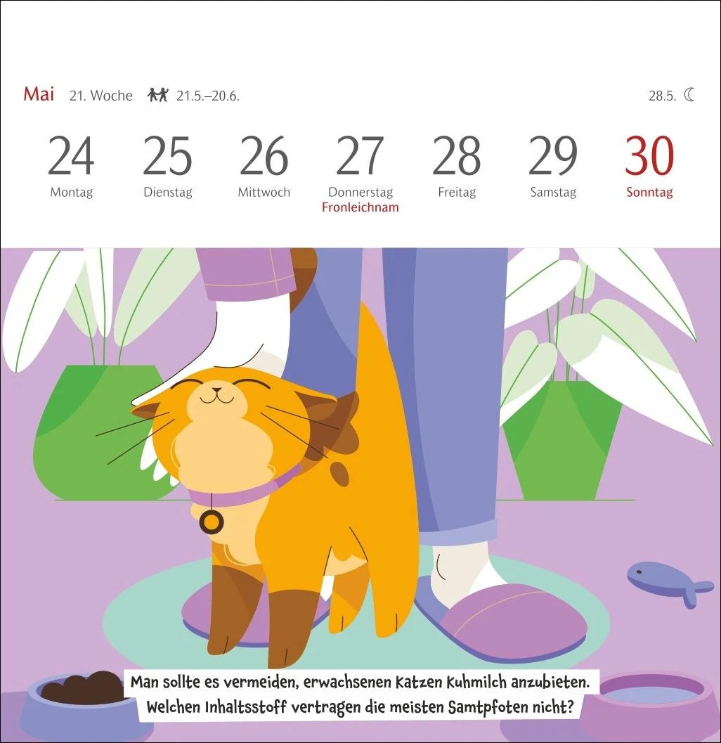 Unnützes-Wissen-Quiz Katzen Premium-Postkartenkalender 2027 - Kalender mit 53 Rätselkarten – Ansicht