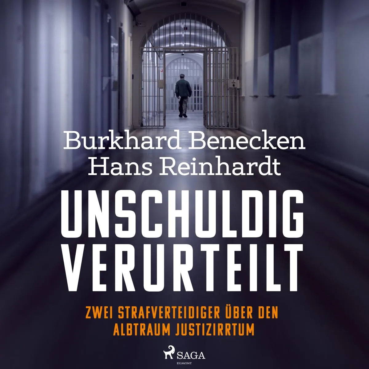 Cover: Unschuldig verurteilt: Zwei Strafverteidiger über den Albtraum Justizirrtum (Hörbuch Download) von Hans Reinhardt