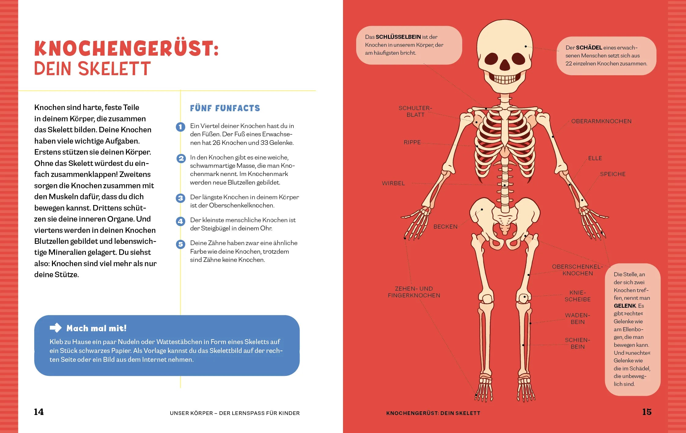Innenansicht von 'Unser Körper' - Taschenbuch