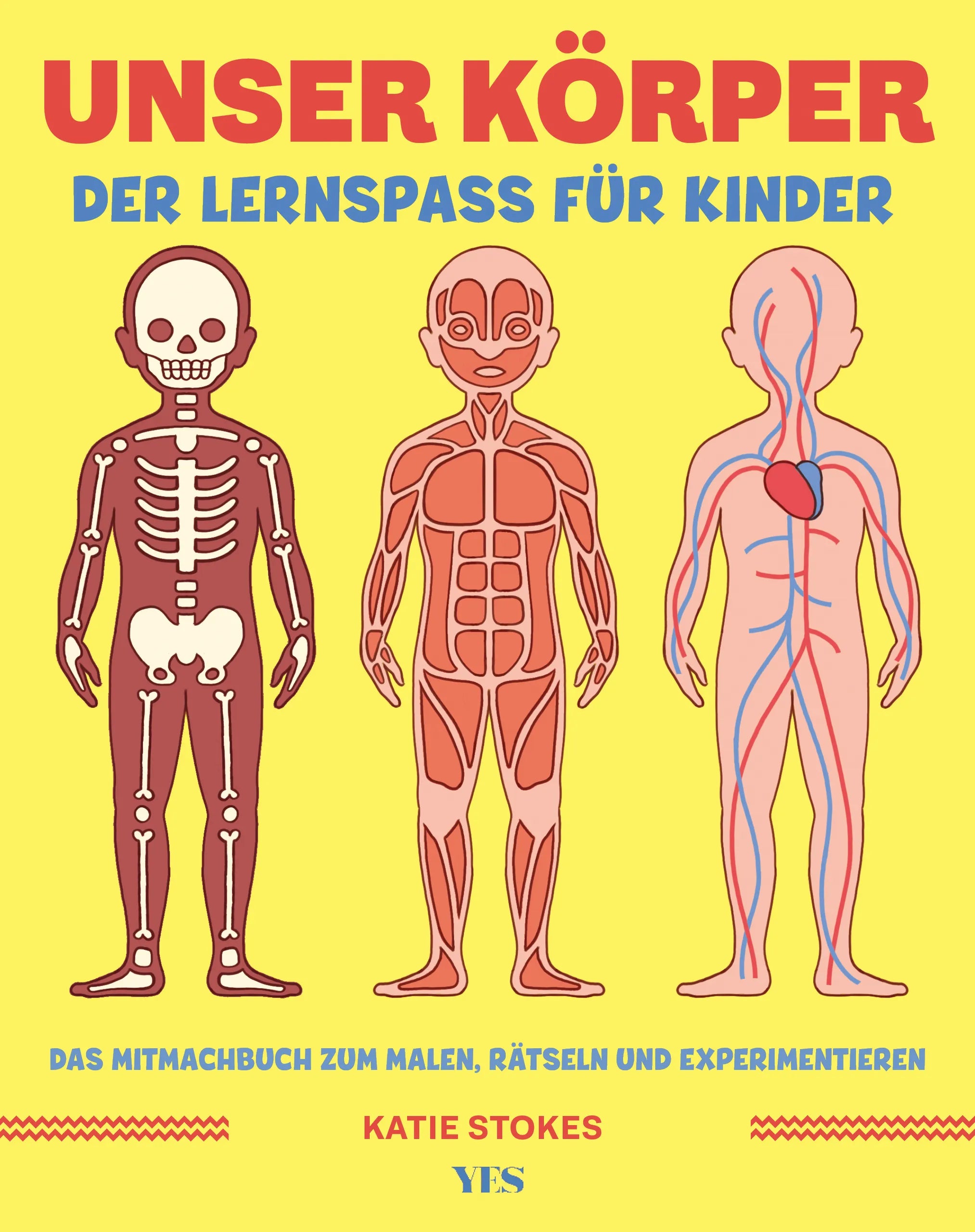 Buchcover von 'Unser Körper' - Taschenbuch von Katie Stokes